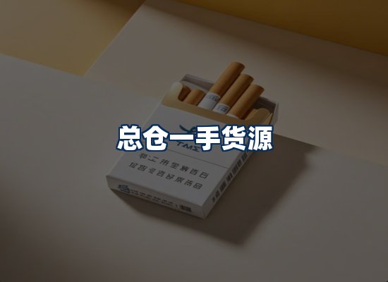 专业团队办公环境